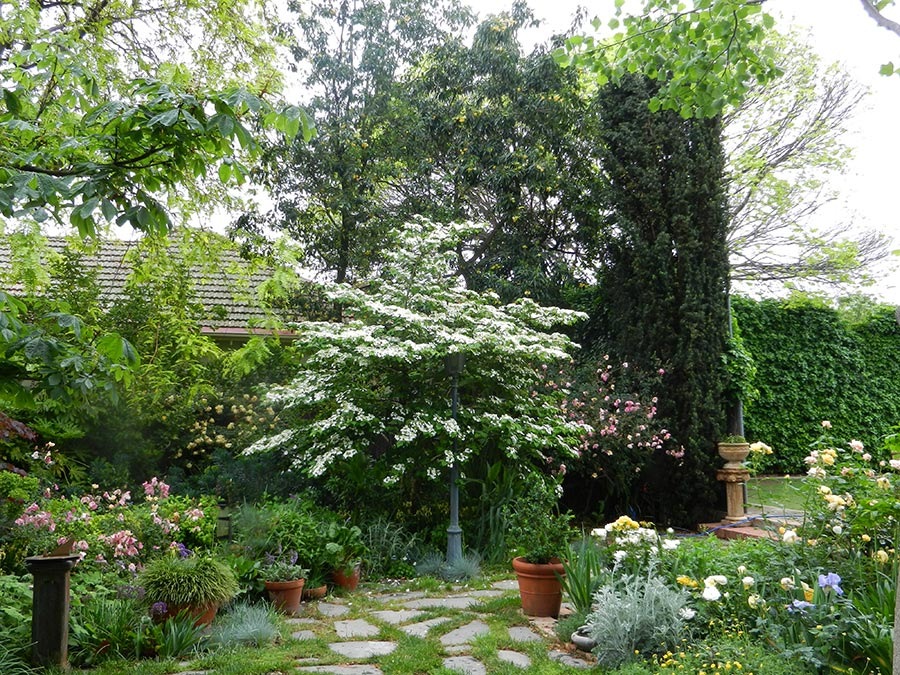 Established garden maintained by Arborcare